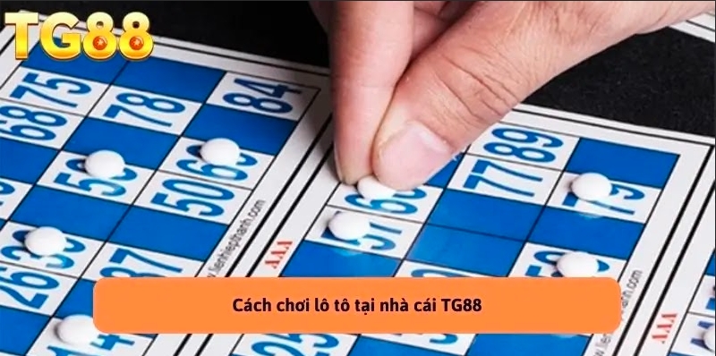 Khái quát về trò chơi lô tô